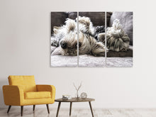 Laden Sie das Bild in den Galerie-Viewer, Leinwandbild 3-teilig 2 niedliche Hunde