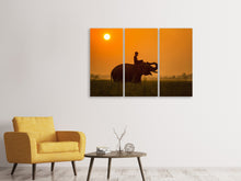 Laden Sie das Bild in den Galerie-Viewer, Leinwandbild 3-teilig Der heilige Elefant