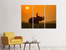 Laden Sie das Bild in den Galerie-Viewer, Leinwandbild 3-teilig Der heilige Elefant