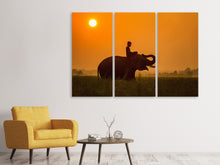Laden Sie das Bild in den Galerie-Viewer, Leinwandbild 3-teilig Der heilige Elefant