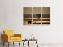 Laden Sie das Bild in den Galerie-Viewer, Leinwandbild 3-teilig Elefant alleine in der Steppe