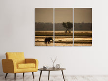 Laden Sie das Bild in den Galerie-Viewer, Leinwandbild 3-teilig Elefant alleine in der Steppe