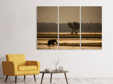 Laden Sie das Bild in den Galerie-Viewer, Leinwandbild 3-teilig Elefant alleine in der Steppe