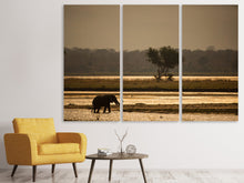 Laden Sie das Bild in den Galerie-Viewer, Leinwandbild 3-teilig Elefant alleine in der Steppe
