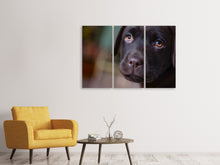 Laden Sie das Bild in den Galerie-Viewer, Leinwandbild 3-teilig Süsse Labrador Welpe