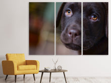 Laden Sie das Bild in den Galerie-Viewer, Leinwandbild 3-teilig Süsse Labrador Welpe
