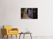 Laden Sie das Bild in den Galerie-Viewer, Leinwandbild 3-teilig Süsse Labrador Welpe