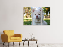 Laden Sie das Bild in den Galerie-Viewer, Leinwandbild 3-teilig Süsse Hundeschnautze