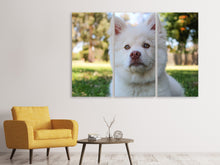 Laden Sie das Bild in den Galerie-Viewer, Leinwandbild 3-teilig Süsse Hundeschnautze