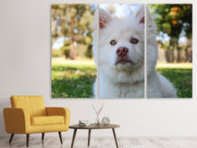 Laden Sie das Bild in den Galerie-Viewer, Leinwandbild 3-teilig Süsse Hundeschnautze