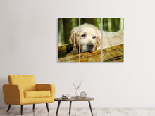 Laden Sie das Bild in den Galerie-Viewer, Leinwandbild 3-teilig Golden Retriever in der Natur