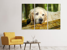 Laden Sie das Bild in den Galerie-Viewer, Leinwandbild 3-teilig Golden Retriever in der Natur