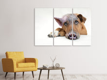 Laden Sie das Bild in den Galerie-Viewer, Leinwandbild 3-teilig Der lustige Schweine Hund