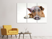 Laden Sie das Bild in den Galerie-Viewer, Leinwandbild 3-teilig Der lustige Schweine Hund