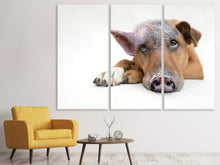 Laden Sie das Bild in den Galerie-Viewer, Leinwandbild 3-teilig Der lustige Schweine Hund