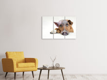 Laden Sie das Bild in den Galerie-Viewer, Leinwandbild 3-teilig Der lustige Schweine Hund
