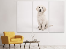 Laden Sie das Bild in den Galerie-Viewer, Leinwandbild 3-teilig Süsse Golden Retriever Welpe