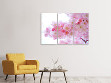 Laden Sie das Bild in den Galerie-Viewer, Leinwandbild 3-teilig Japanische Kirschblüte XL