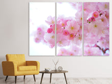 Laden Sie das Bild in den Galerie-Viewer, Leinwandbild 3-teilig Japanische Kirschblüte XL