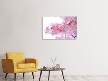 Laden Sie das Bild in den Galerie-Viewer, Leinwandbild 3-teilig Japanische Kirschblüte XL