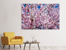 Laden Sie das Bild in den Galerie-Viewer, Leinwandbild 3-teilig Die Japanische Zierkirsche