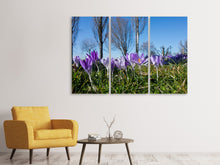Laden Sie das Bild in den Galerie-Viewer, Leinwandbild 3-teilig Lila Krokus in der Natur