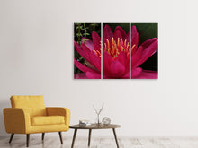 Laden Sie das Bild in den Galerie-Viewer, Leinwandbild 3-teilig Wundervolle Seerose