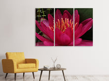 Laden Sie das Bild in den Galerie-Viewer, Leinwandbild 3-teilig Wundervolle Seerose
