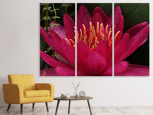 Laden Sie das Bild in den Galerie-Viewer, Leinwandbild 3-teilig Wundervolle Seerose