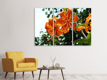 Laden Sie das Bild in den Galerie-Viewer, Leinwandbild 3-teilig Die wilden Tiger-Lilien