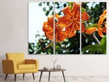Laden Sie das Bild in den Galerie-Viewer, Leinwandbild 3-teilig Die wilden Tiger-Lilien