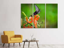 Laden Sie das Bild in den Galerie-Viewer, Leinwandbild 3-teilig Die Tiger-Lilie und der Schmetterling