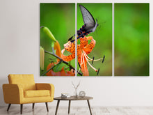 Laden Sie das Bild in den Galerie-Viewer, Leinwandbild 3-teilig Die Tiger-Lilie und der Schmetterling