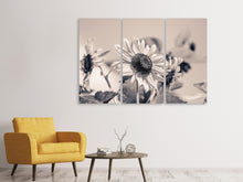 Laden Sie das Bild in den Galerie-Viewer, Leinwandbild 3-teilig Sonnenblumen sw