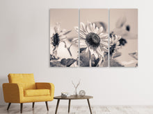 Laden Sie das Bild in den Galerie-Viewer, Leinwandbild 3-teilig Sonnenblumen sw