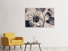 Laden Sie das Bild in den Galerie-Viewer, Leinwandbild 3-teilig Bienen auf der Sonnenblume sw