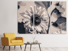 Laden Sie das Bild in den Galerie-Viewer, Leinwandbild 3-teilig Bienen auf der Sonnenblume sw