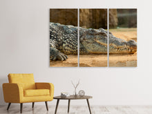 Laden Sie das Bild in den Galerie-Viewer, Leinwandbild 3-teilig Das Nilkrokodil