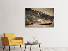 Laden Sie das Bild in den Galerie-Viewer, Leinwandbild 3-teilig Achtung Alligator !