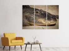 Laden Sie das Bild in den Galerie-Viewer, Leinwandbild 3-teilig Achtung Alligator !