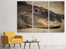 Laden Sie das Bild in den Galerie-Viewer, Leinwandbild 3-teilig Achtung Alligator !