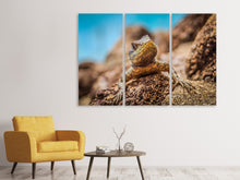 Laden Sie das Bild in den Galerie-Viewer, Leinwandbild 3-teilig Kleiner Alligator