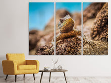 Laden Sie das Bild in den Galerie-Viewer, Leinwandbild 3-teilig Kleiner Alligator