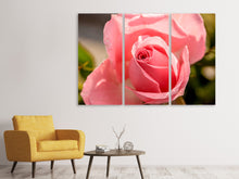 Laden Sie das Bild in den Galerie-Viewer, Leinwandbild 3-teilig Die Rose in rosa