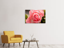 Laden Sie das Bild in den Galerie-Viewer, Leinwandbild 3-teilig Die Rose in rosa