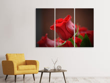 Laden Sie das Bild in den Galerie-Viewer, Leinwandbild 3-teilig Rote Rose in XL