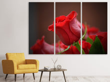 Laden Sie das Bild in den Galerie-Viewer, Leinwandbild 3-teilig Rote Rose in XL