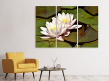 Laden Sie das Bild in den Galerie-Viewer, Leinwandbild 3-teilig Seerosen Duo in weiss