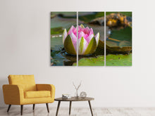 Laden Sie das Bild in den Galerie-Viewer, Leinwandbild 3-teilig XL Seerose in rosa