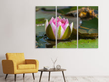 Laden Sie das Bild in den Galerie-Viewer, Leinwandbild 3-teilig XL Seerose in rosa